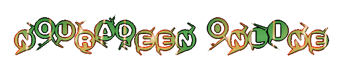 Nouradeen Online Logo